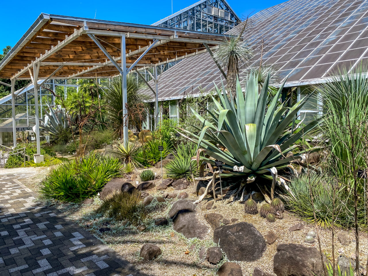 筑波実験植物園：温室A入り口