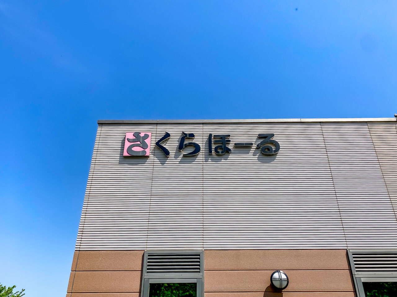 埼玉サボテンクラブ春の大即売会