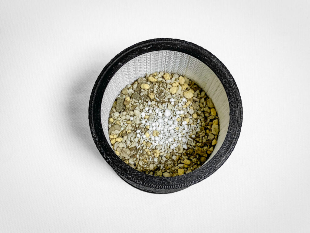 コピアポア・コルムナアルバ（短台付）を植え替えたッ！！ | もすレコ。