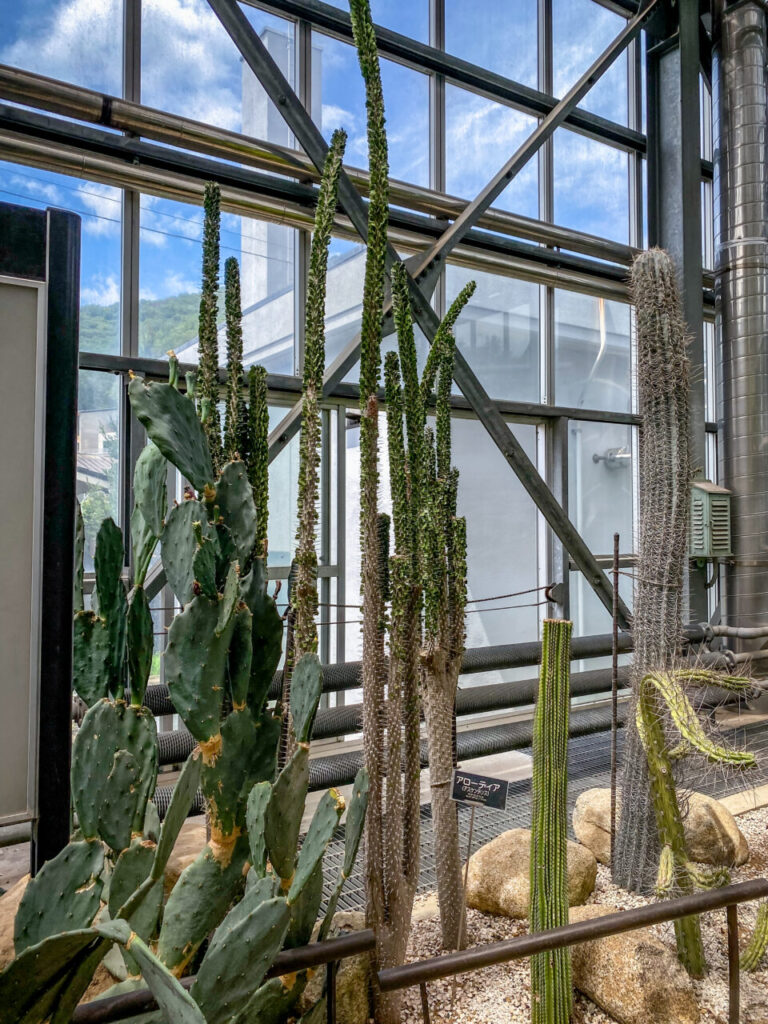 とちぎ花センター:アローディア