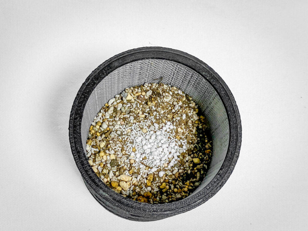 殺虫剤と緩効性肥料を撒く