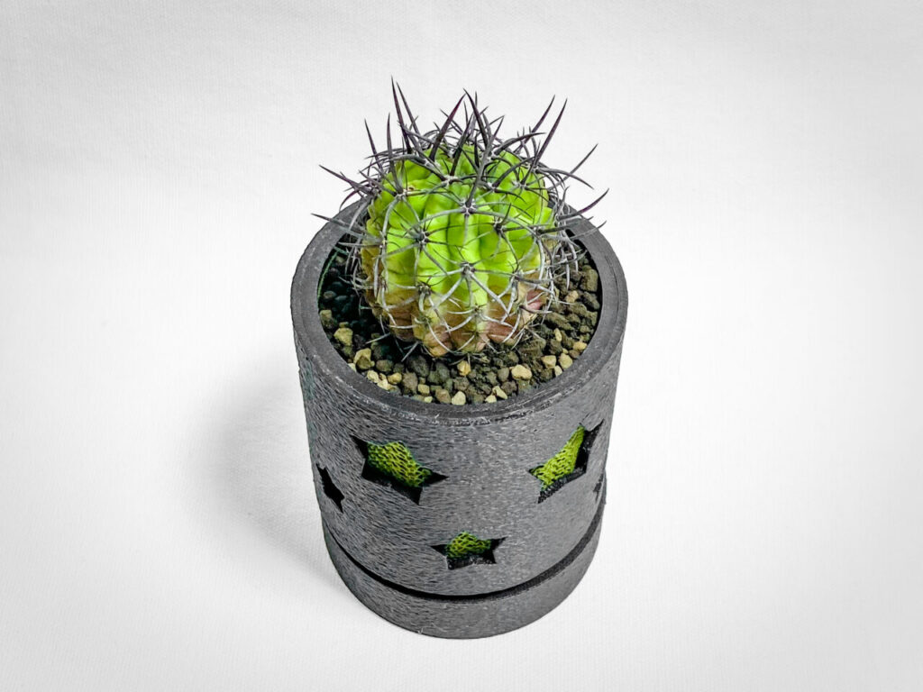 エリオシケ(旧ネオポルテリア)・暗黒王