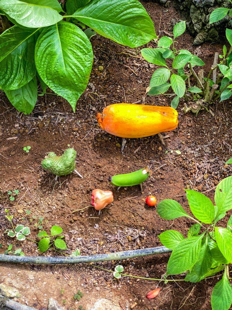 とちぎ花センター