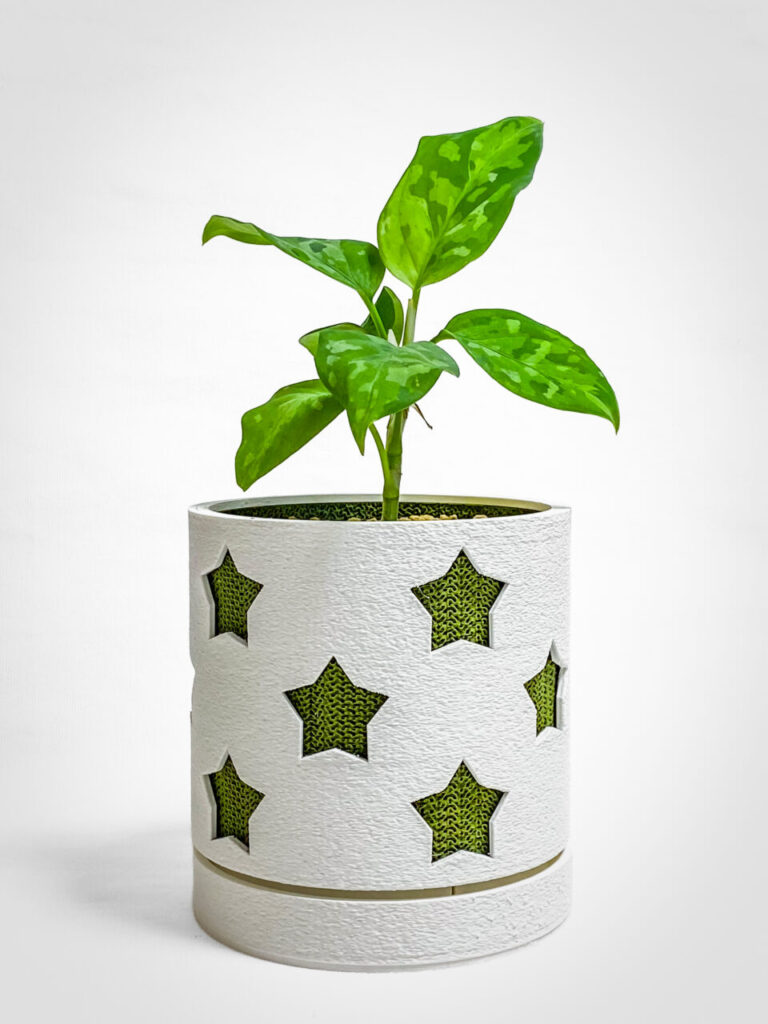 アグラオネマ・ピクタム’トリカラー’