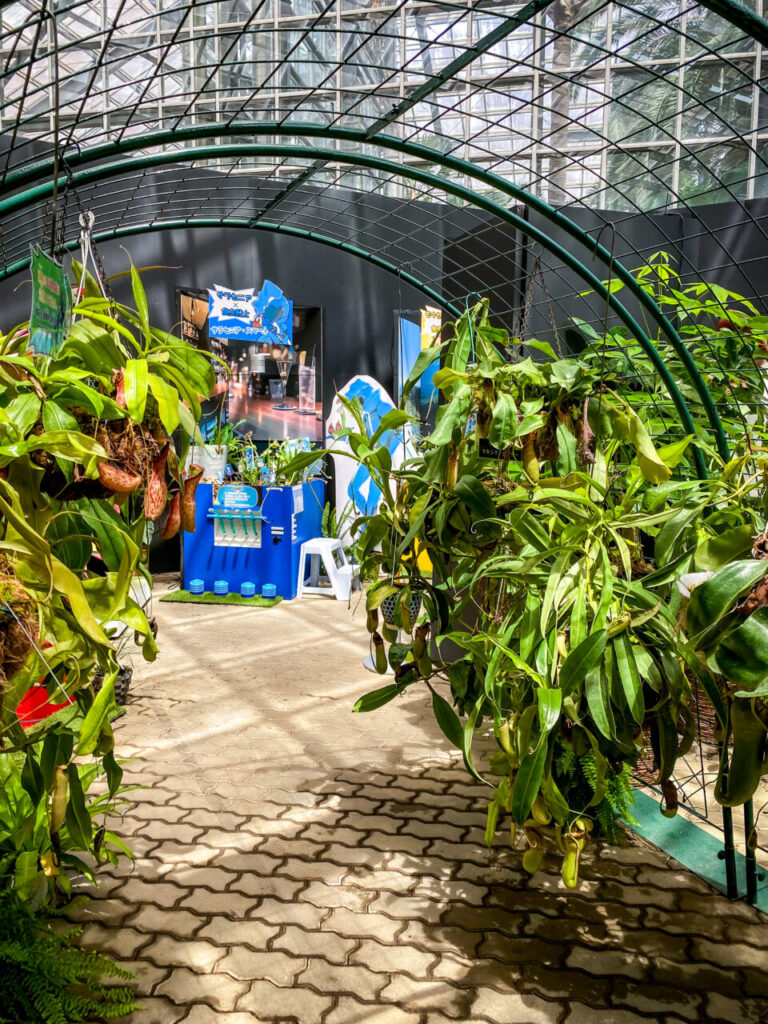 とちぎ花センター:食虫植物展