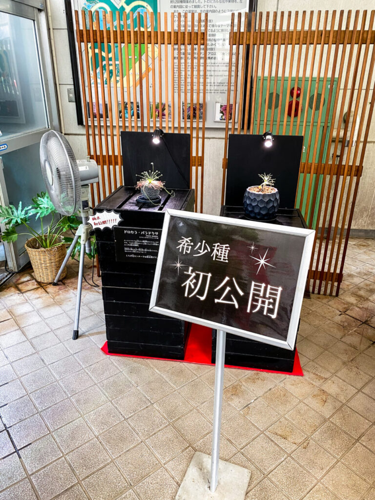 とちぎ花センター:食虫植物展