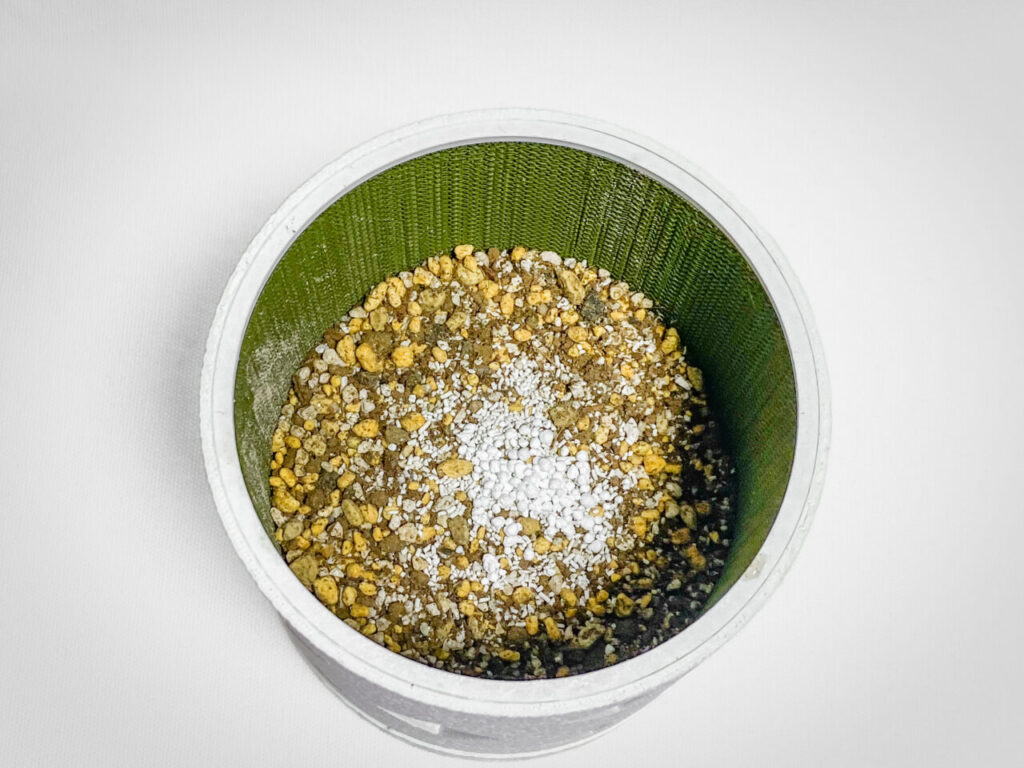 殺虫剤と緩効性肥料を撒く