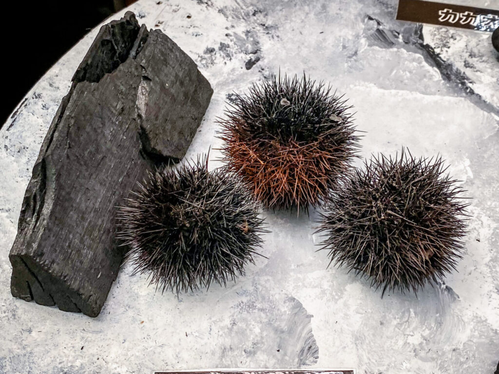 とちぎ花センター炭展