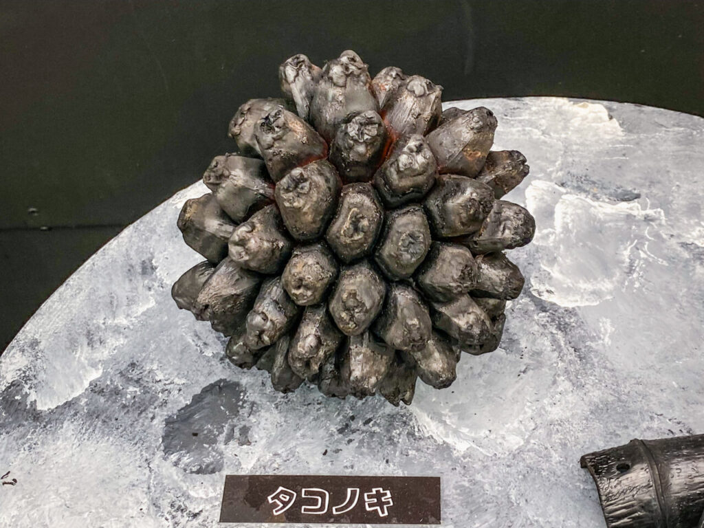 とちぎ花センター炭展