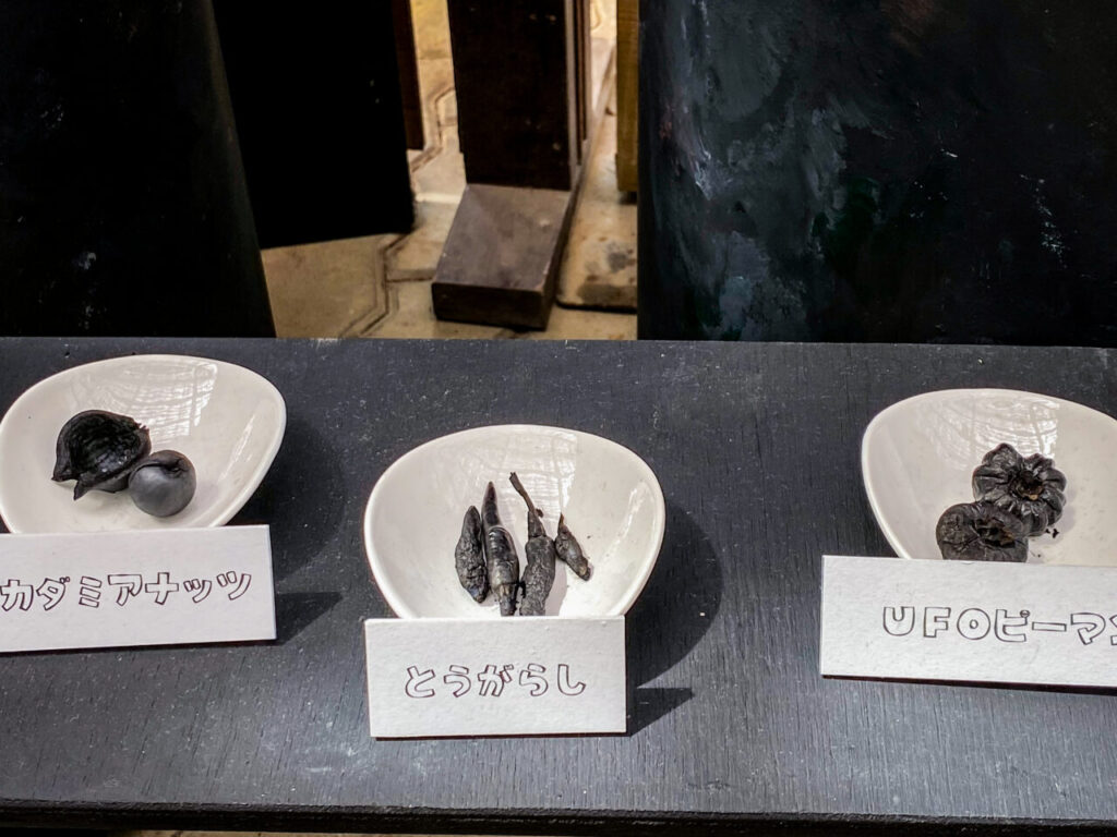 とちぎ花センター炭展