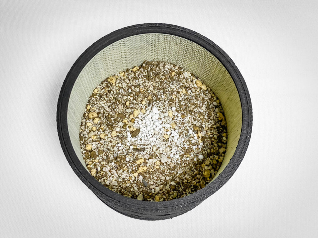 殺虫剤と緩効性肥料を撒く