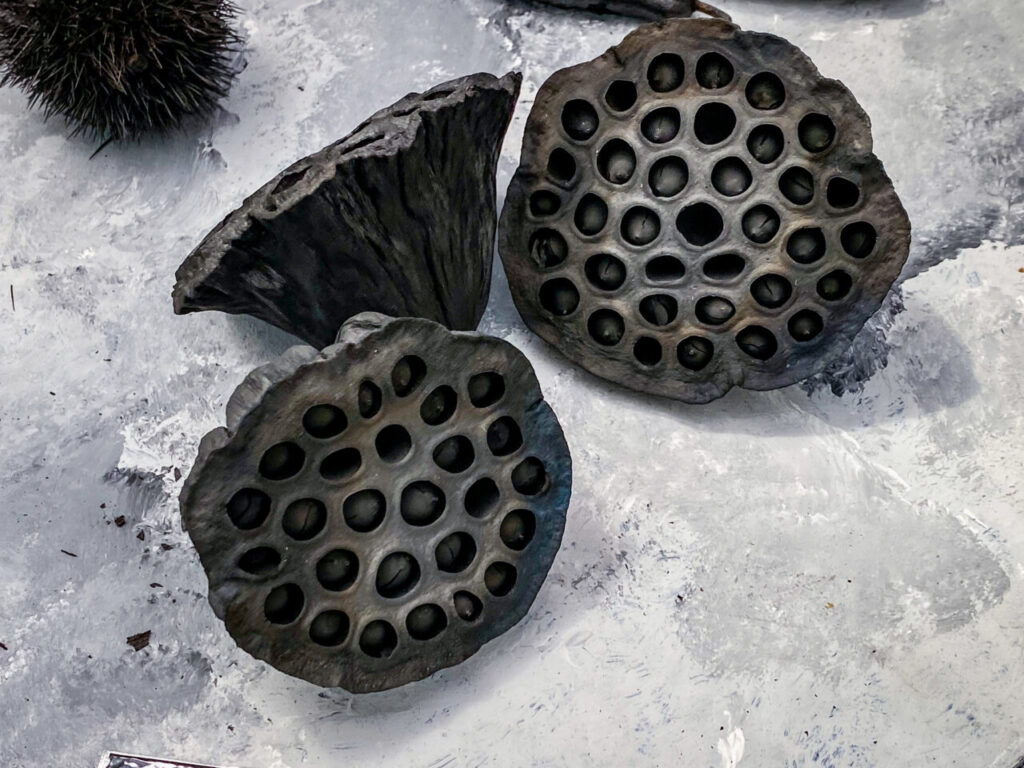 とちぎ花センター炭展