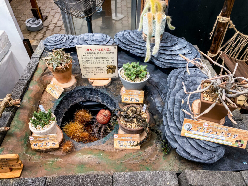 とちぎ花センター多肉とサボ展