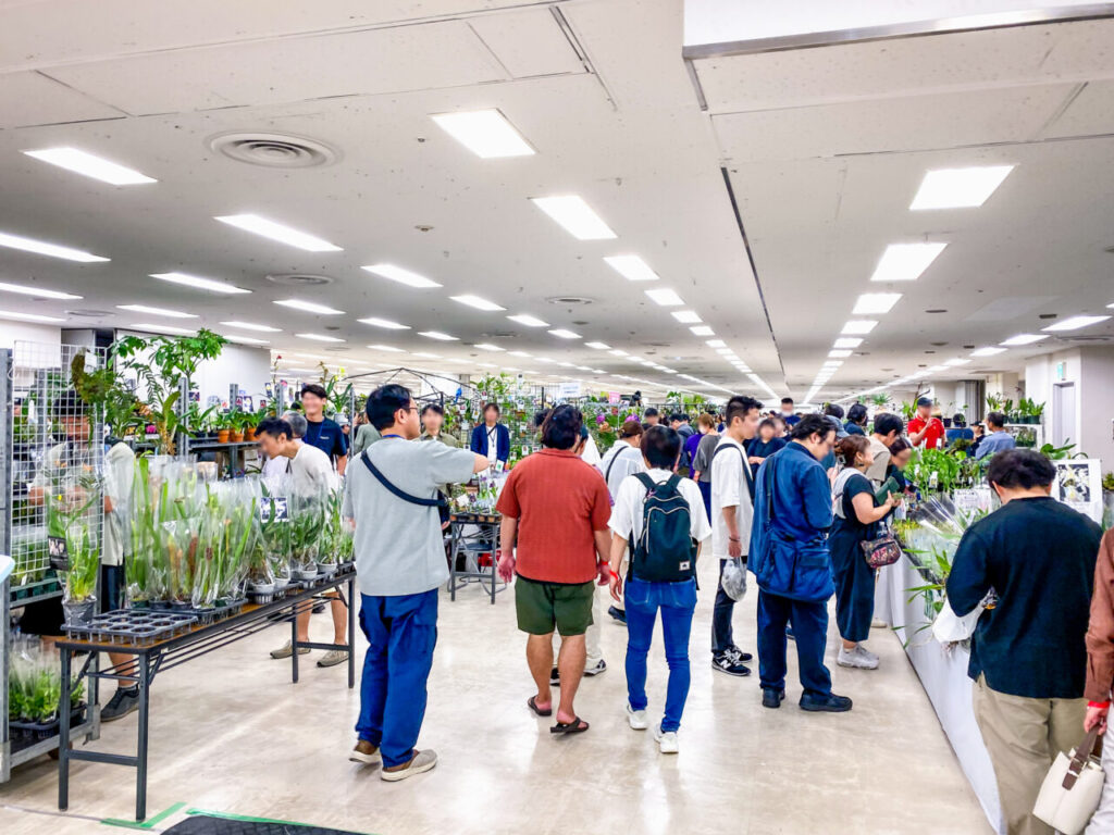 オキボタMAXおかわり