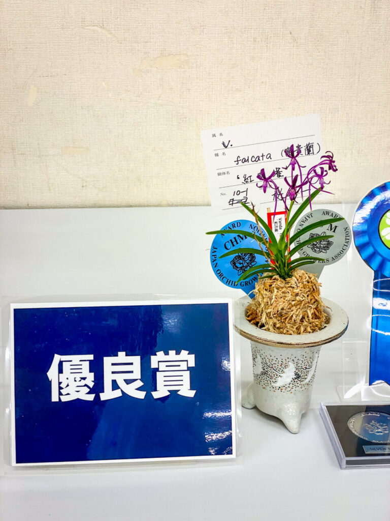 オキボタMAX2025 with ハチクラサイ