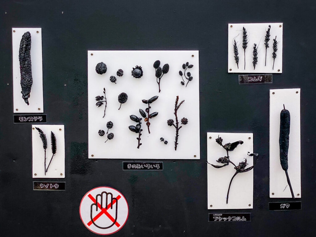 とちぎ花センター炭展