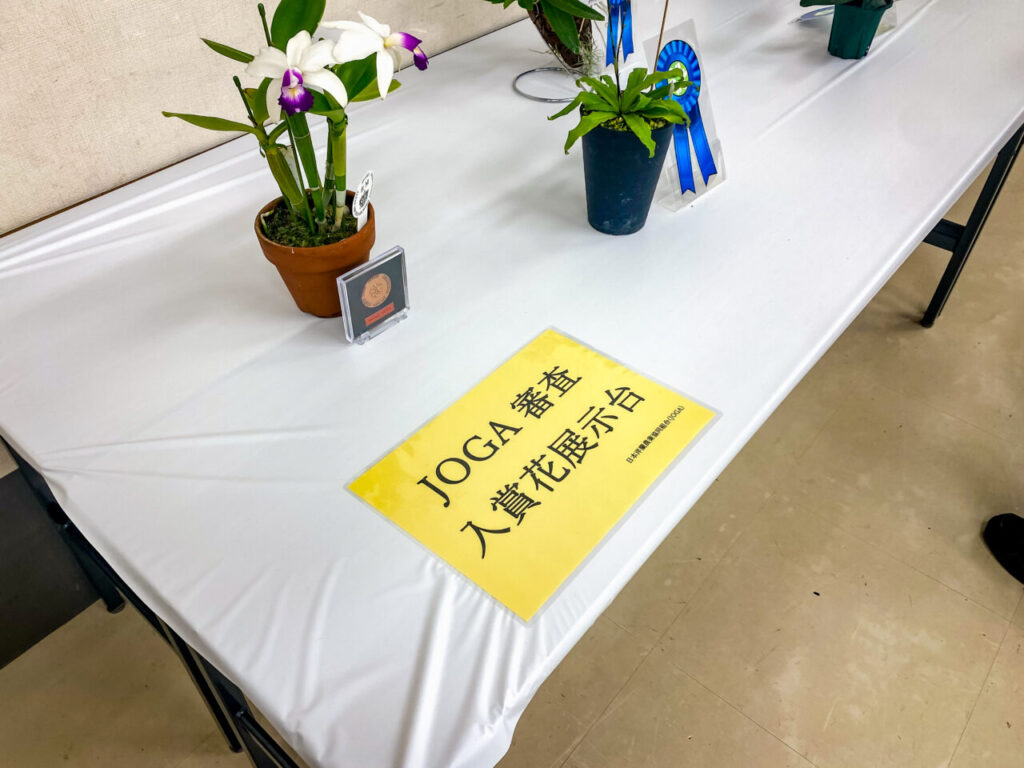 オキボタMAX2025 with ハチクラサイ