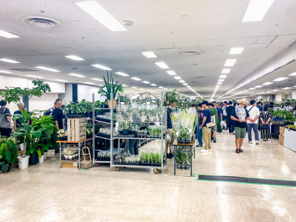 オキボタMAX2025 with ハチクラサイ