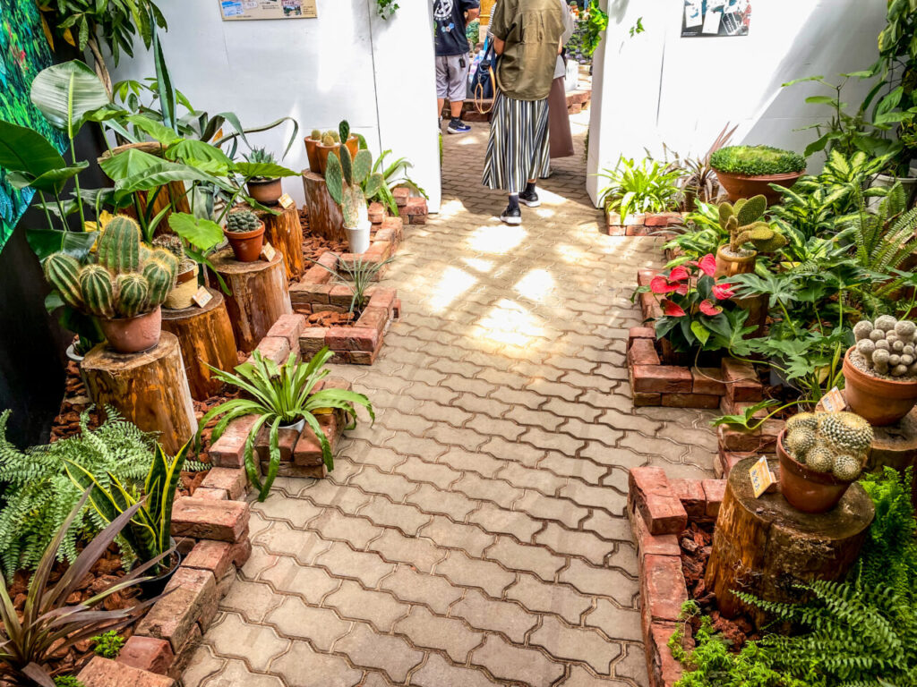 とちぎ花センター多肉とサボ展