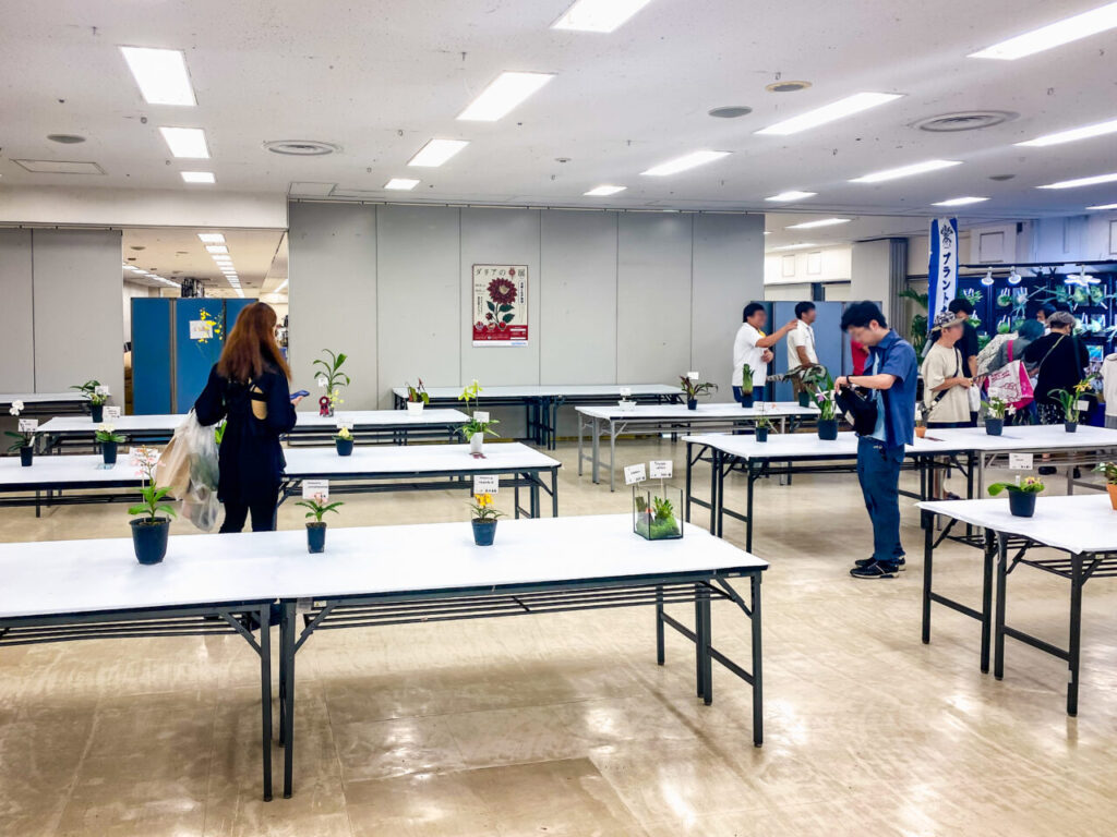 オキボタMAX2025 with ハチクラサイ