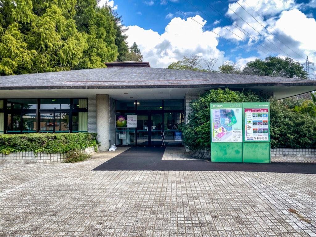 育てる宝石コノフィツム展