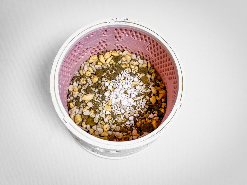 殺虫剤と緩効性肥料を撒く