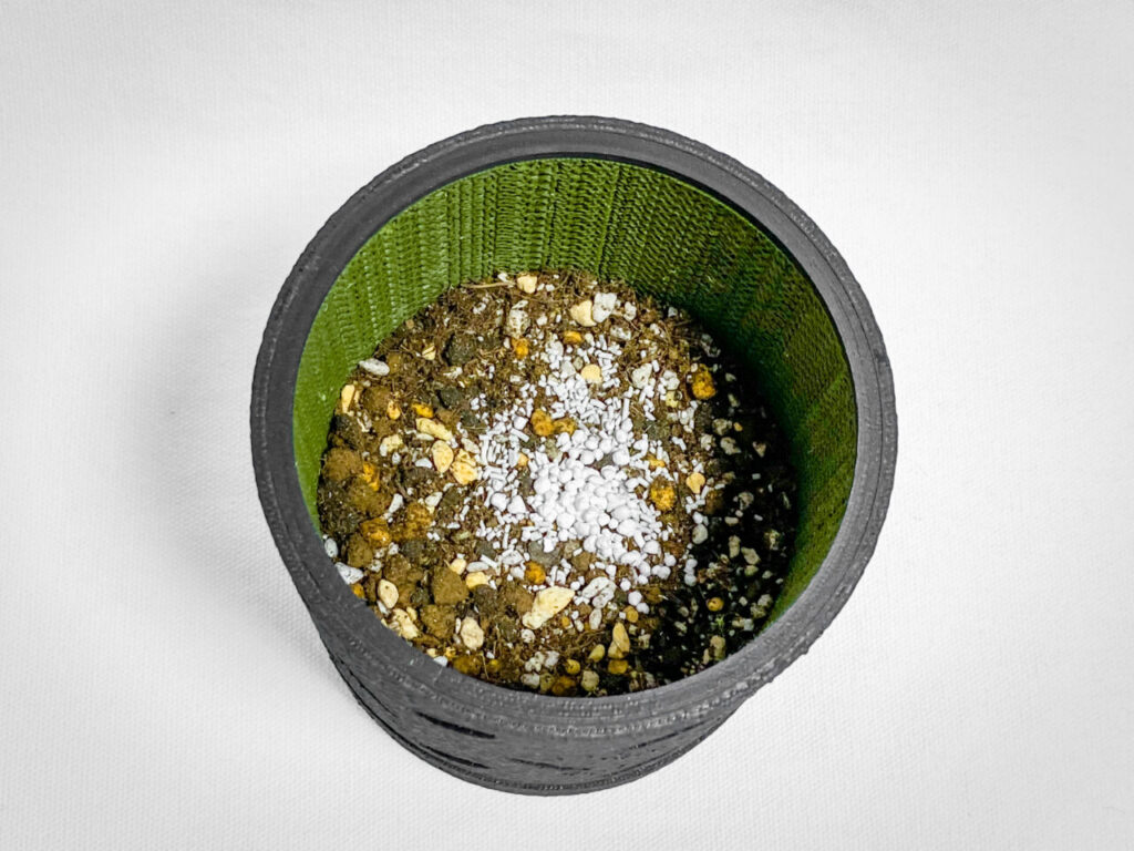 殺虫剤と緩効性肥料を撒く