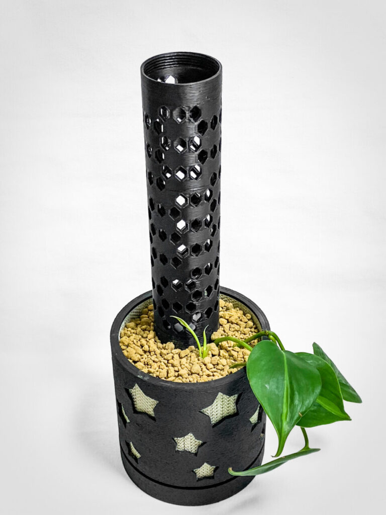 フィロデンドロン・’ブラジル’