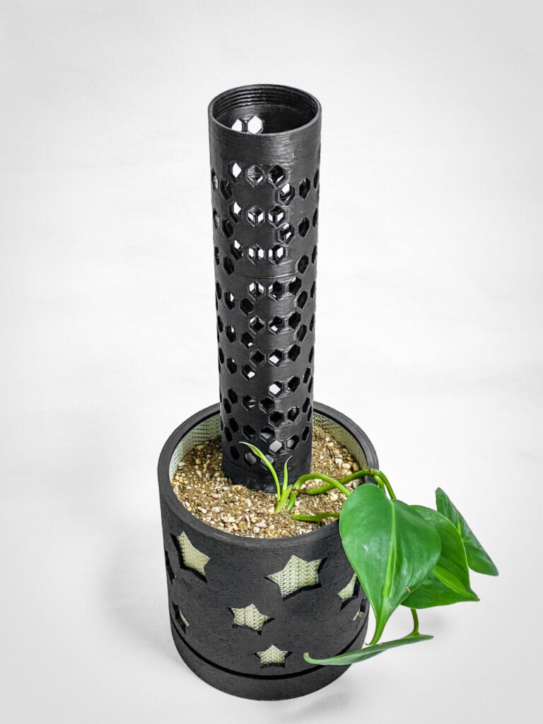 フィロデンドロン・’ブラジル’