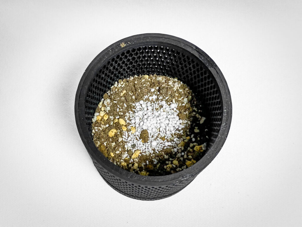 殺虫剤と緩効性肥料を撒く