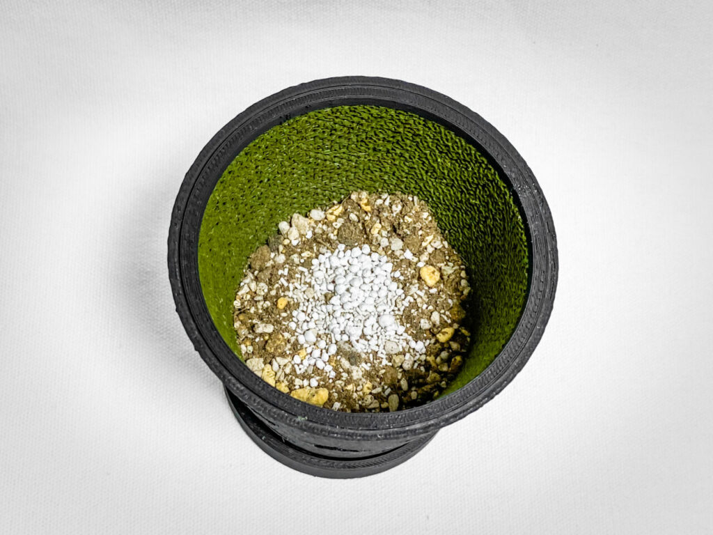 殺虫剤と緩効性肥料を撒く