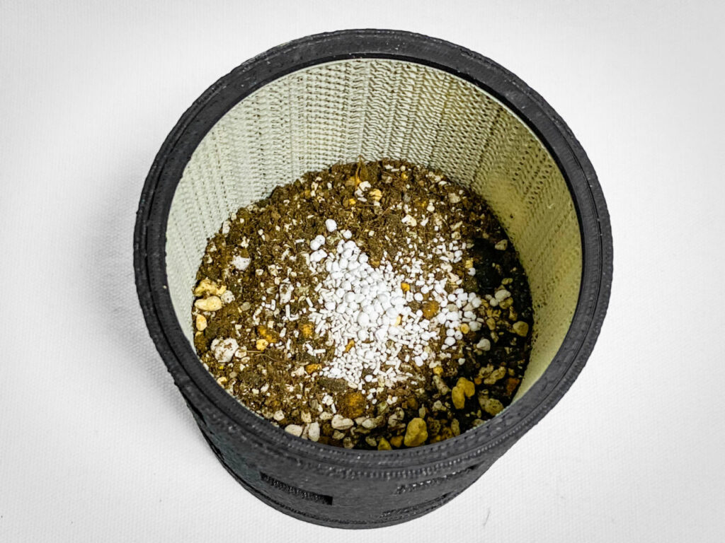 殺虫剤と緩効性肥料を撒く