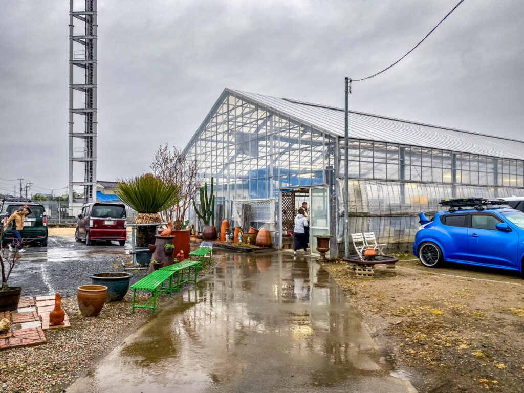 プチ草乱祭購入品