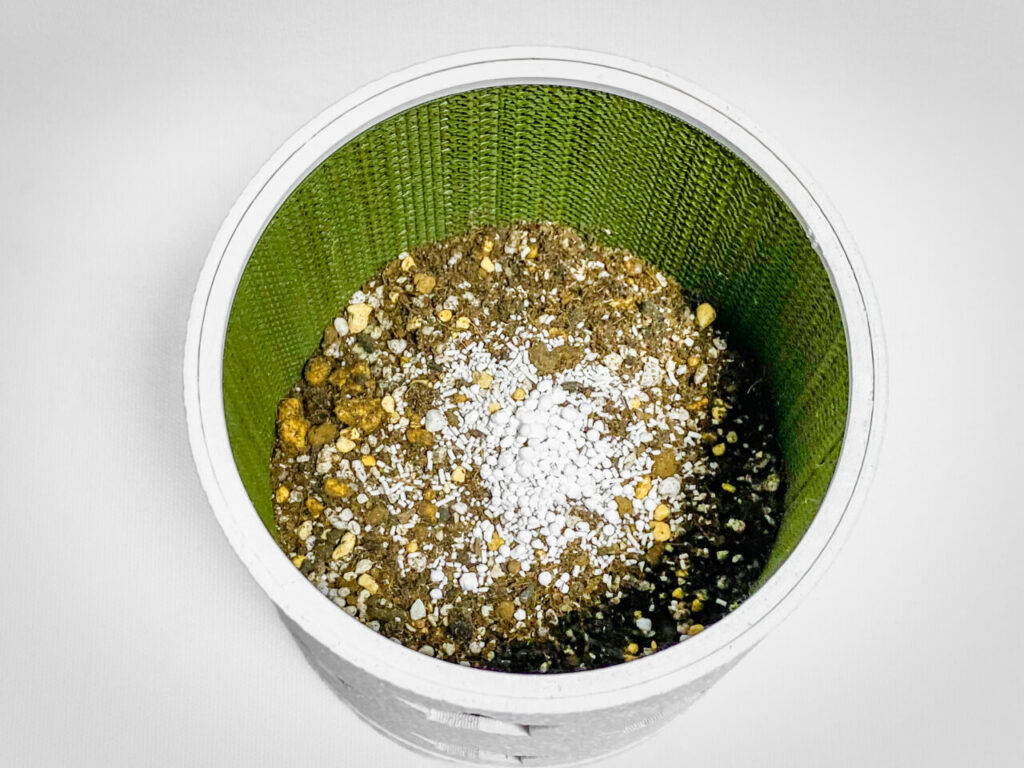 殺虫剤と緩効性肥料を撒く