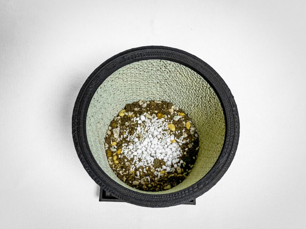 殺虫剤と緩効性肥料を撒く