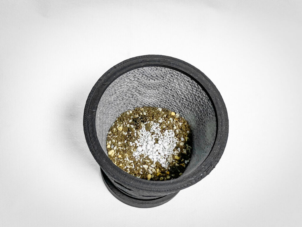 殺虫剤と緩効性肥料を撒く