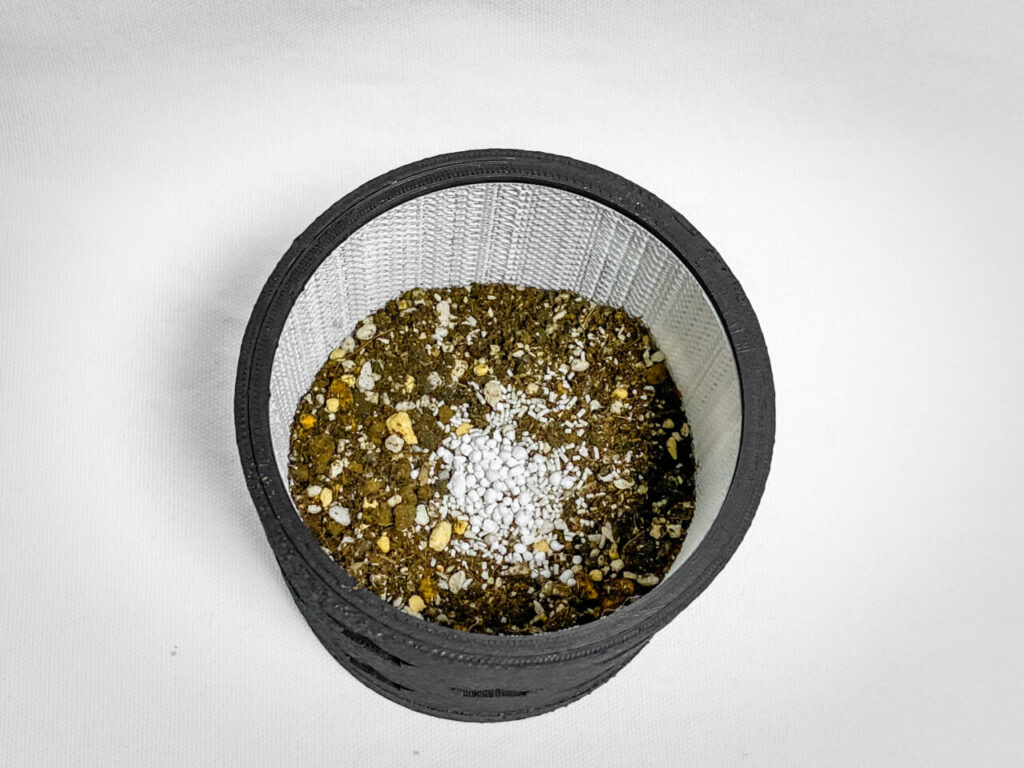 殺虫剤と緩効性肥料を撒く