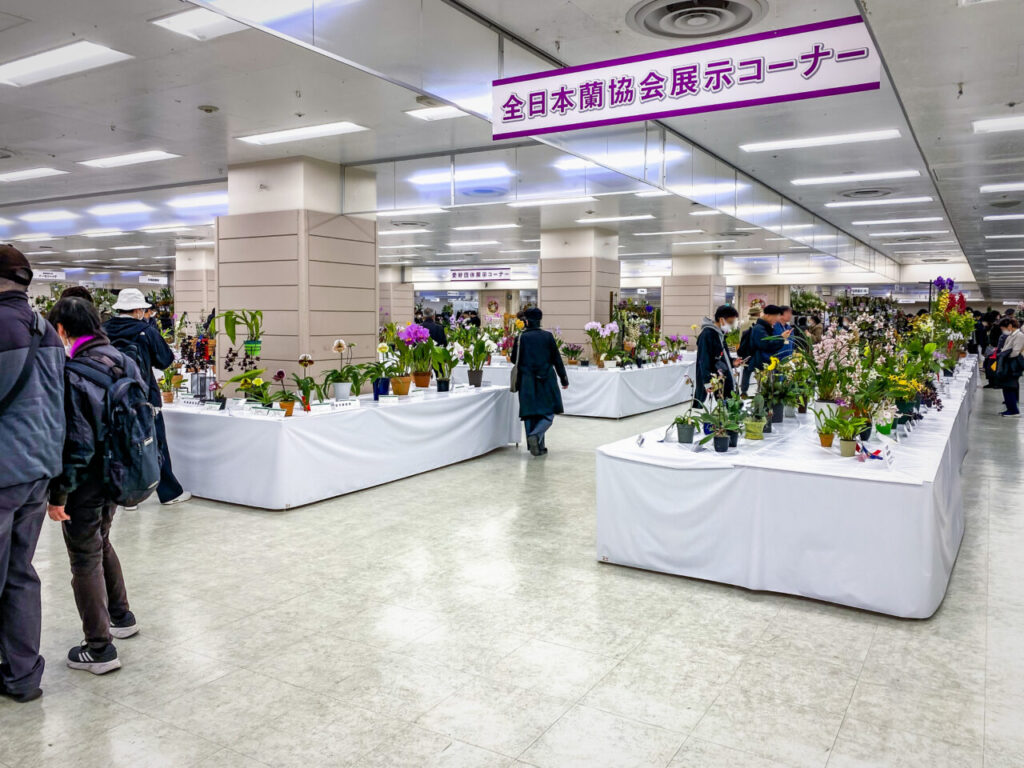 サンシャインシティ世界のらん展2026