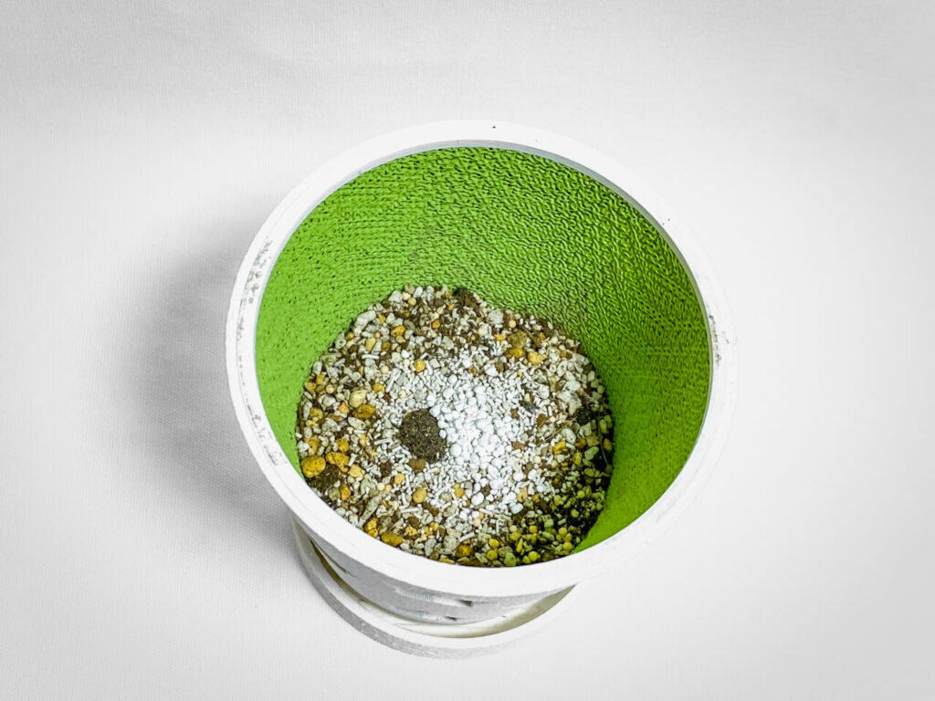 殺虫剤と緩効性肥料を撒く