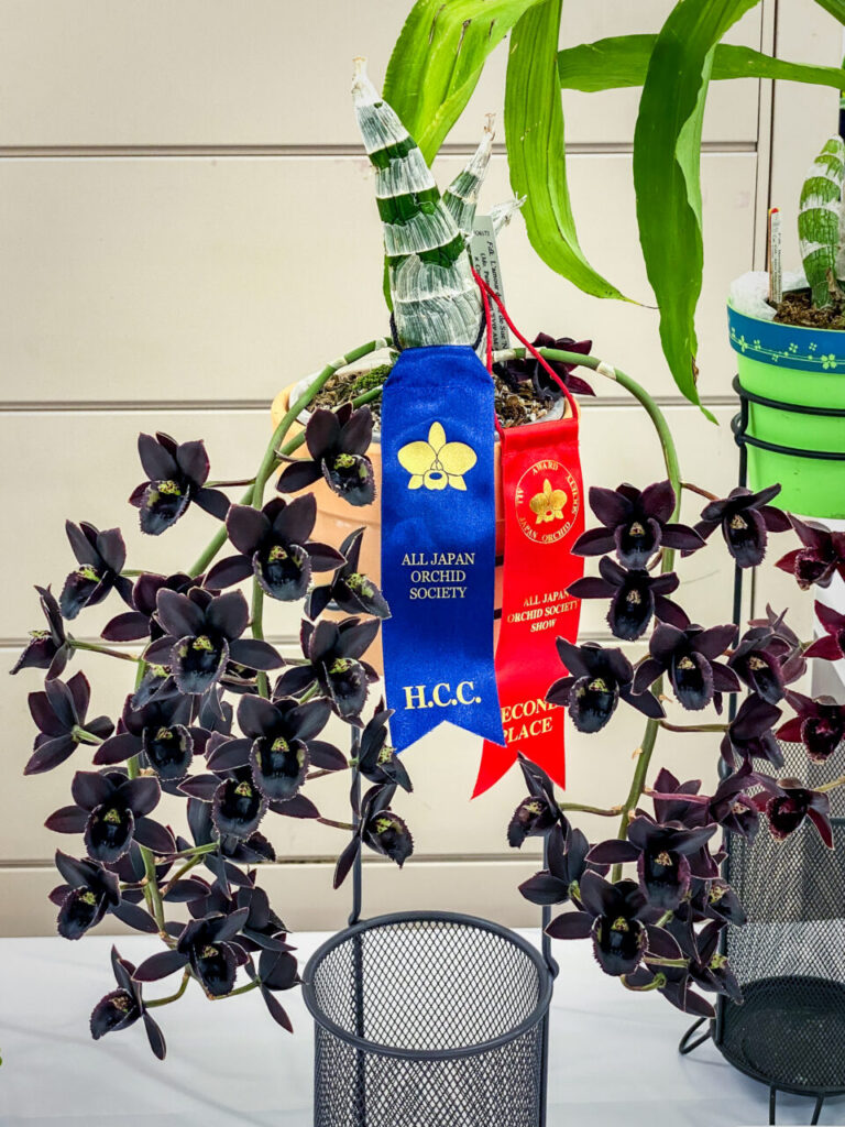 サンシャインシティ世界のらん展2026