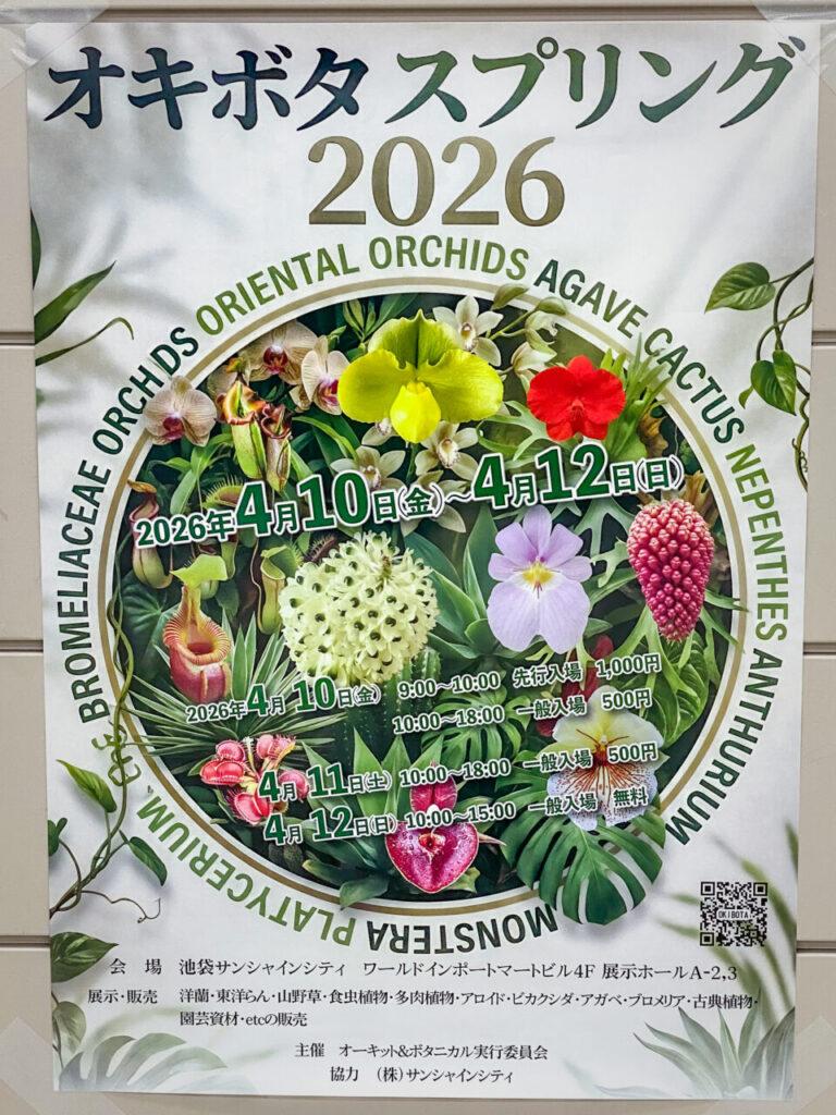 オキボタスプリング2026