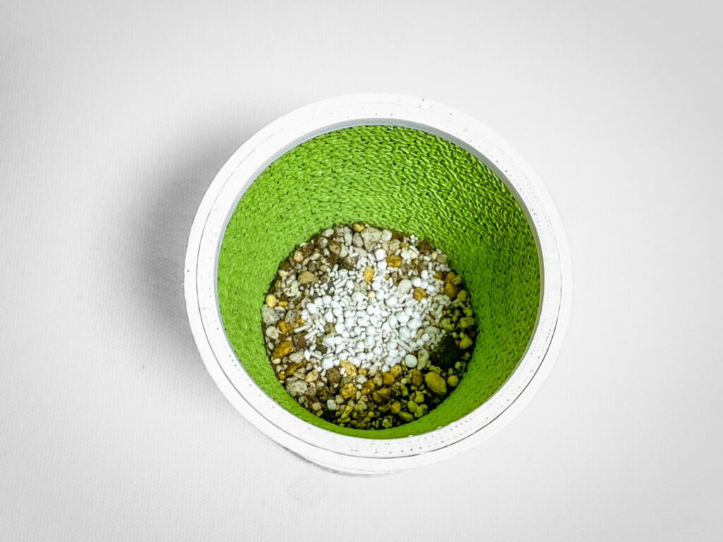 殺虫剤と緩効性肥料を撒く