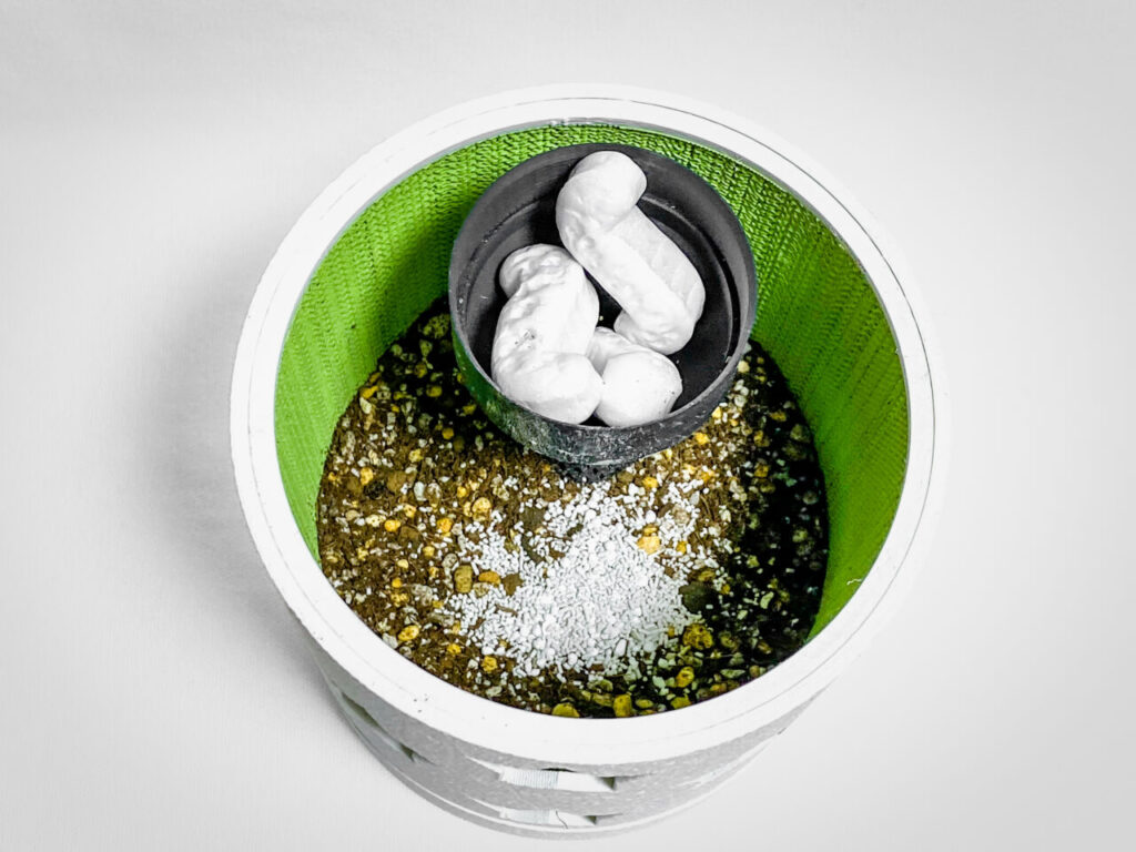 殺虫剤と緩効性肥料を撒く