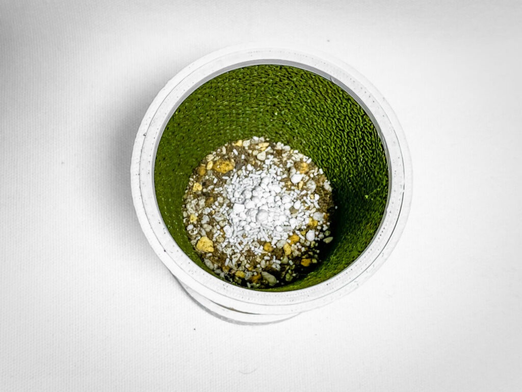 殺虫剤と緩効性肥料を撒く