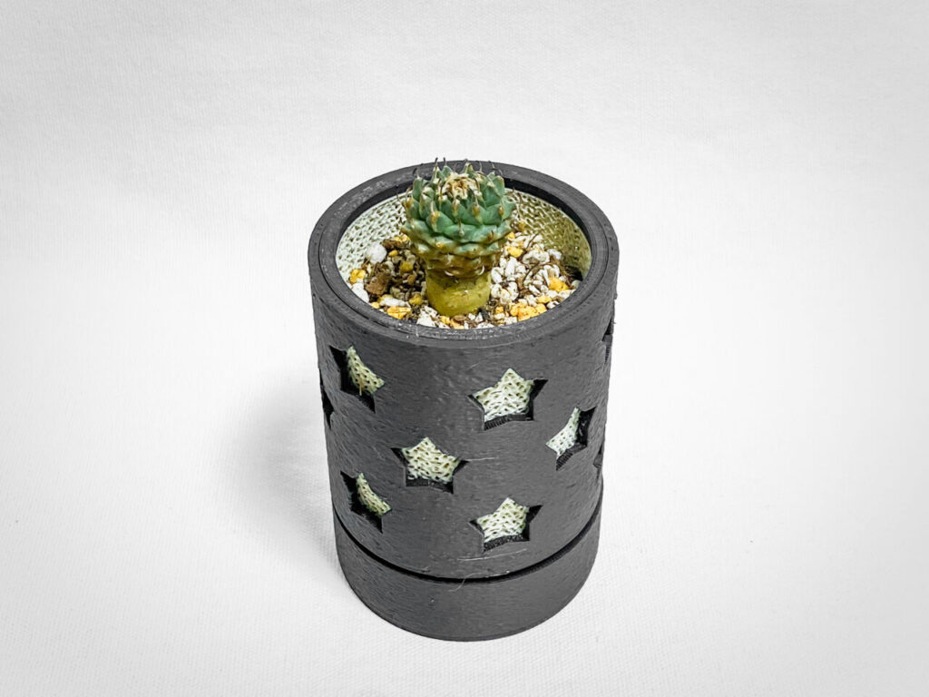 ツルビニカルプス・パナロットイ