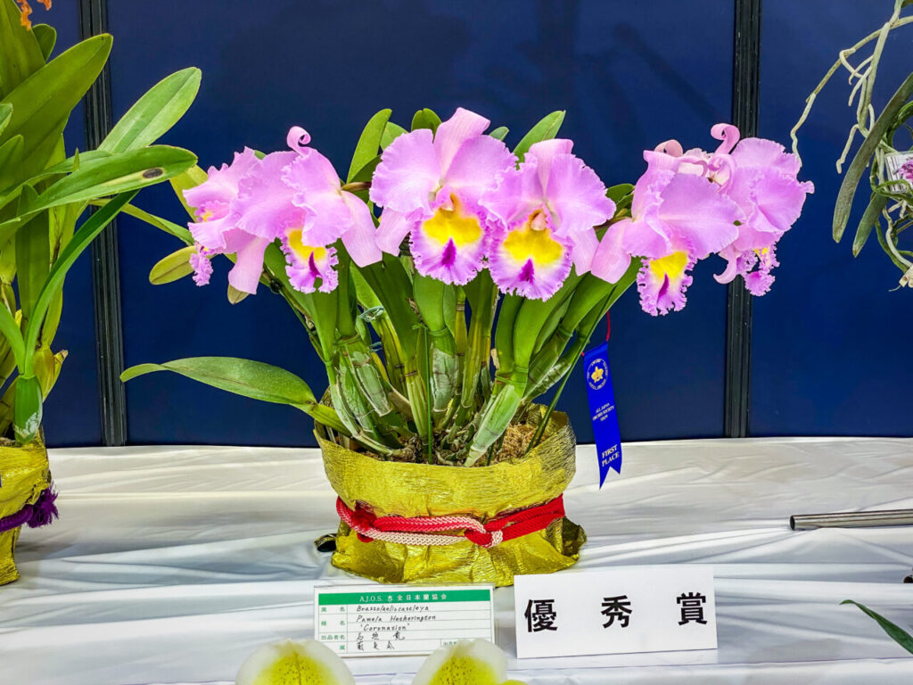 サンシャインシティ世界のらん展2026