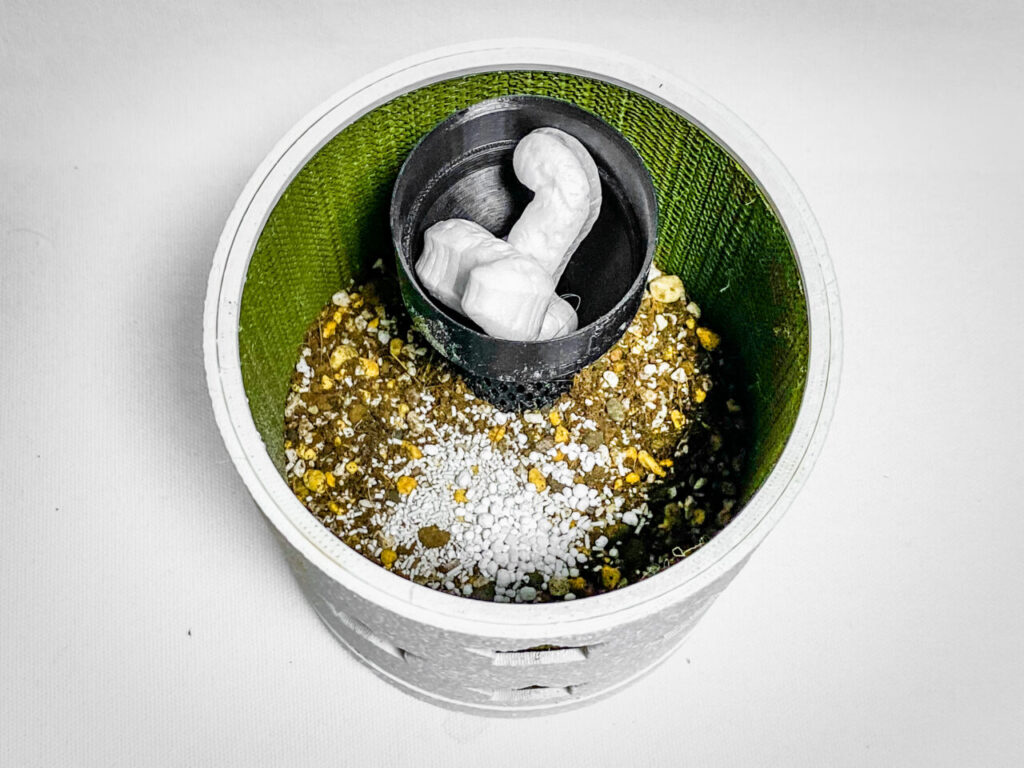 殺虫剤と緩効性肥料を撒く