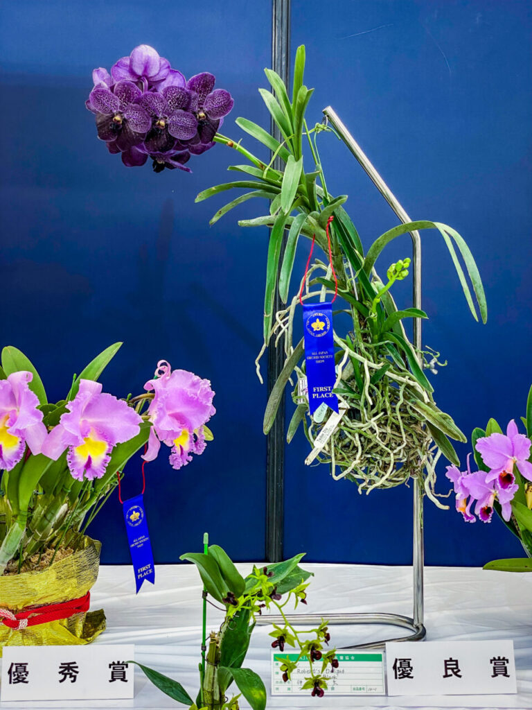 サンシャインシティ世界のらん展2026