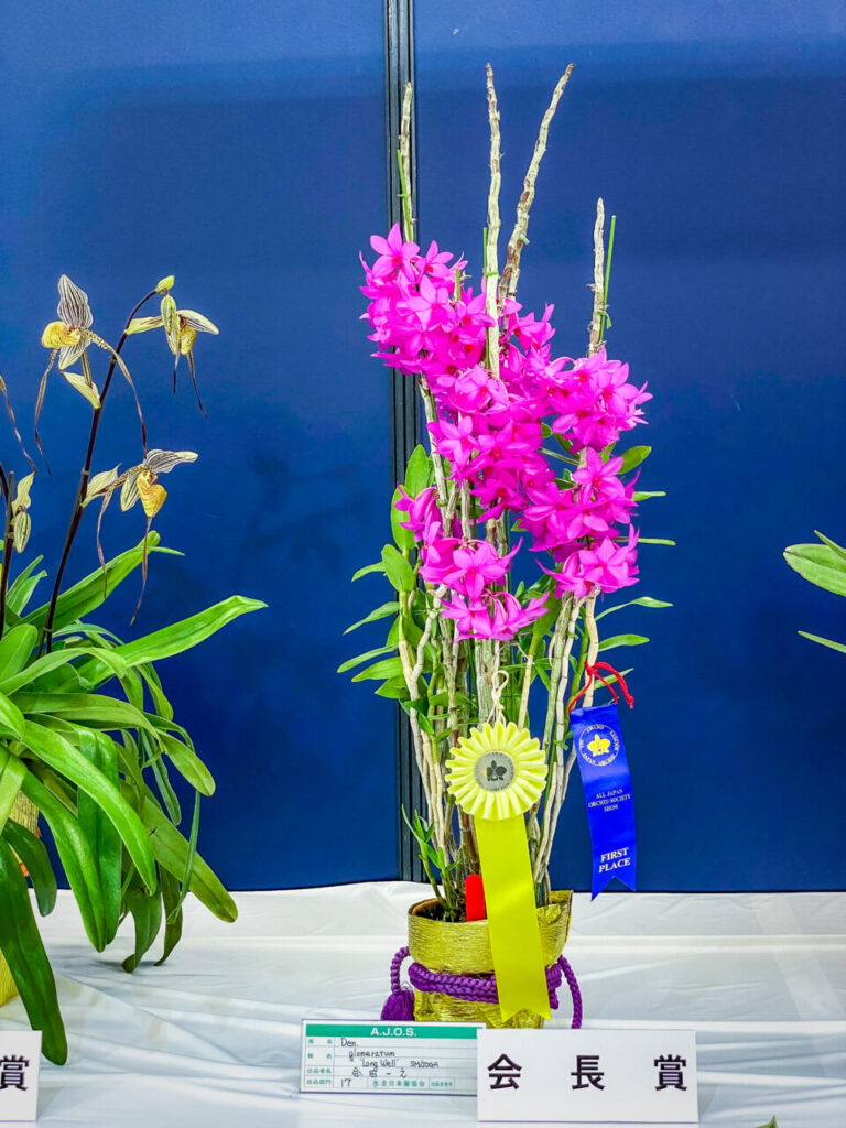 サンシャインシティ世界のらん展2026