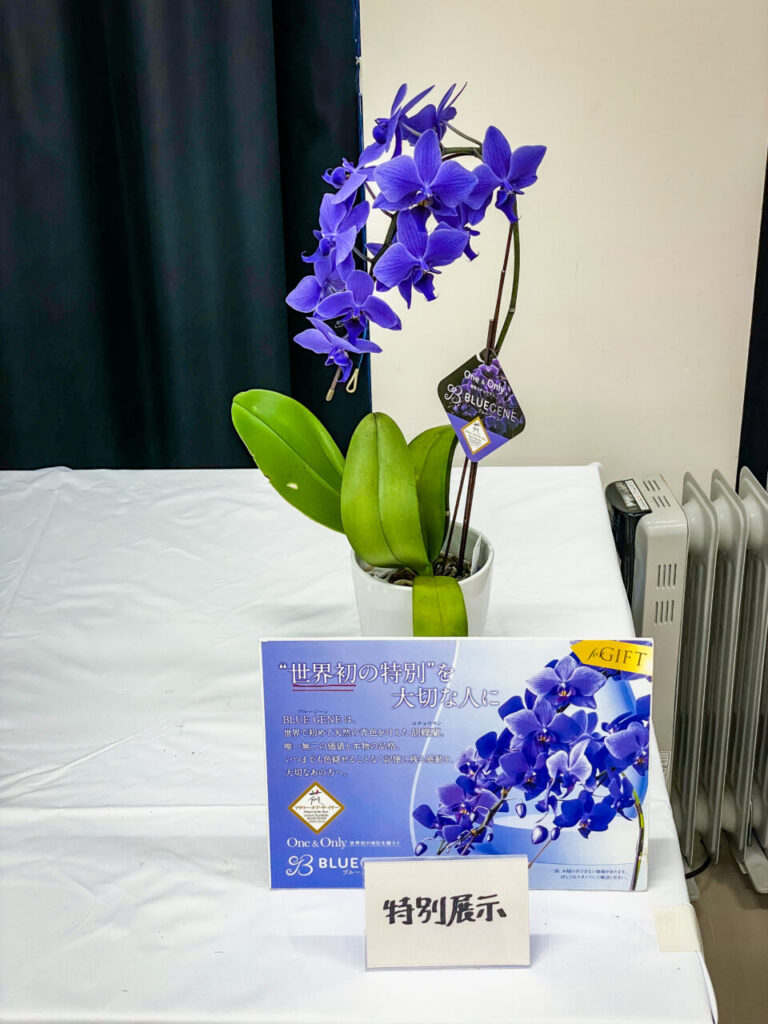 第52回埼玉洋らん展